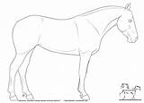 Horse Coloring Quarter Pages Friesian Head Drawing Line Printable Color Drawings Lines Getcolorings Print Getdrawings Colori Popular sketch template