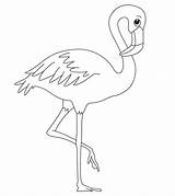 Ausmalbilder Ausdrucken Suche Flamingos sketch template