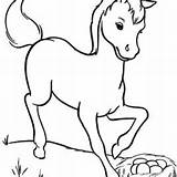 Coloring Miniature Horse Pages Getcolorings Color sketch template