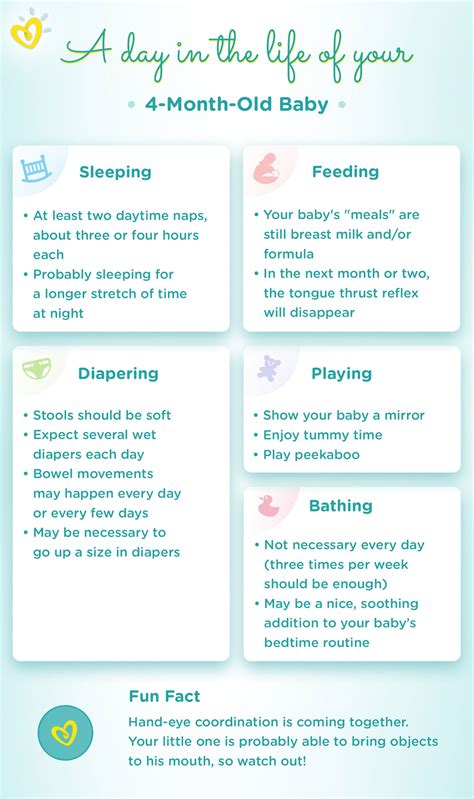 month  baby milestones weight sleep schedule pampers