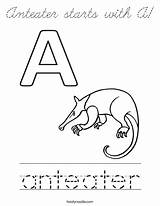 Coloring Anteater Starts Cursive Print Ll sketch template