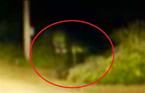Top 10 Dover Demon Sightings With Pictures Proved It Is