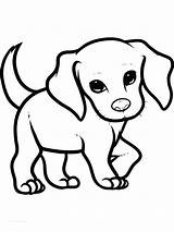Kleurplaten Welpen Hund Dieren Schattige Ausmalbild sketch template