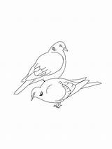Pages Coloring Doves Dove Birds sketch template
