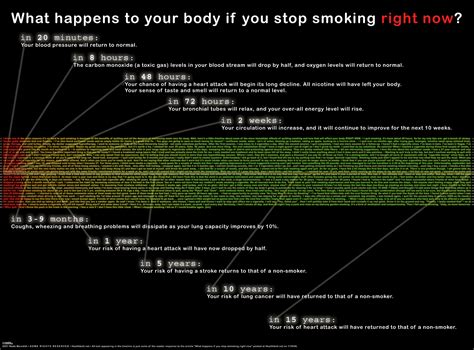 What Happens When You Quit Smoking [infographic] Personal Excellence