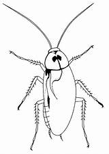 Cockroach Coloring Pages Printable Clipart Bw Cockroaches Clip Animal Color Kids Print Cliparts Bestcoloringpagesforkids German Animals Library Choose Board American sketch template