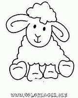 Ovejas Colorat Oi Oveja Sheep Mewarnai Domba Baranek Animale Coloriage Wielkanoc Planse Desenhos P01 Pecora Schaf Mouton Paud Desene Schafe sketch template