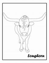 Longhorn sketch template