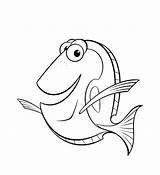 Nemo Finding Pages Coloring Pdf Getcolorings sketch template