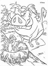 Coloring Pumbaa Timon Pages Library Clipart Konig Ausmalbild Lowen Der sketch template