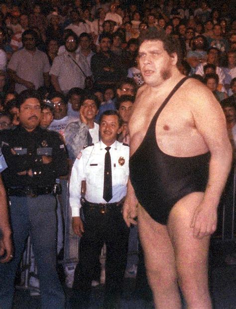 andre  giant wikiwand