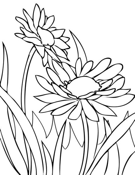 spring flower daisy coloring page color luna