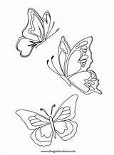 Farfalle Disegni Colorare Schmetterling Farfalla Sommerfugle Tegninger Ricamo Disegnidacolorare Bastelvorlage Pirografo Sommerfugl Tegning Hummingbird Semplici Insect Nemme Patrones Borboletas Idee sketch template