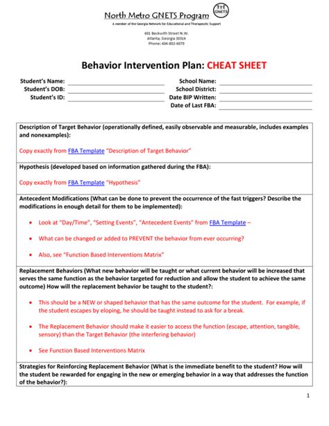 behavior intervention plan cheat sheet