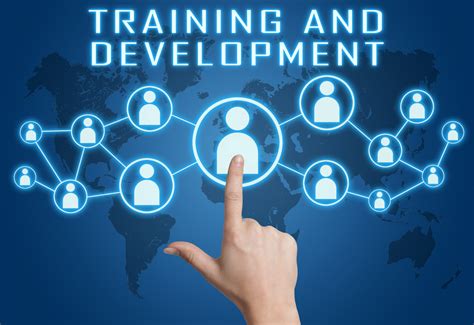 plan training  development program optimally hr management