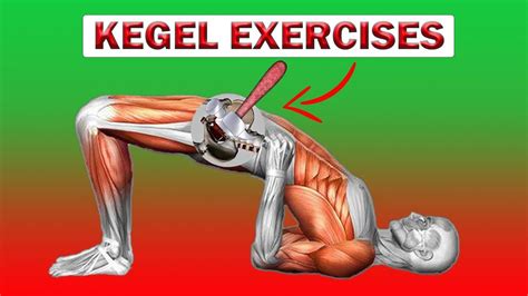 top kegel exercises for men 🔨 complex kegel exercises for man 🔨 kegel