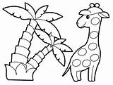 Jungle Coloring Pages Giraffe Kids sketch template