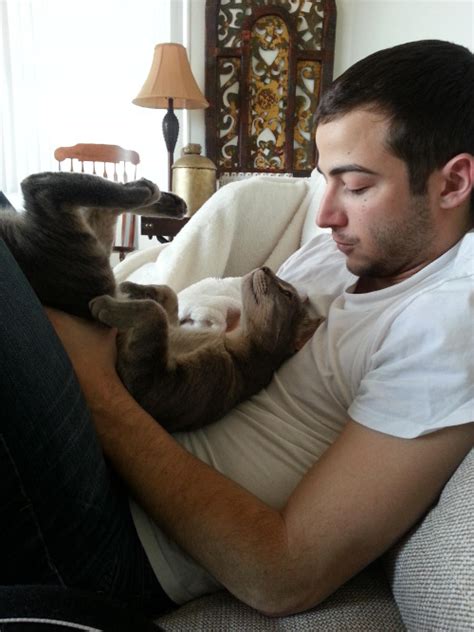 Hot Dudes With Kittens The Purr Fect Thing To See On Instagram