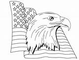 American Unis Mewarnai Burung Elang Etats Flag Bonikids Kids sketch template