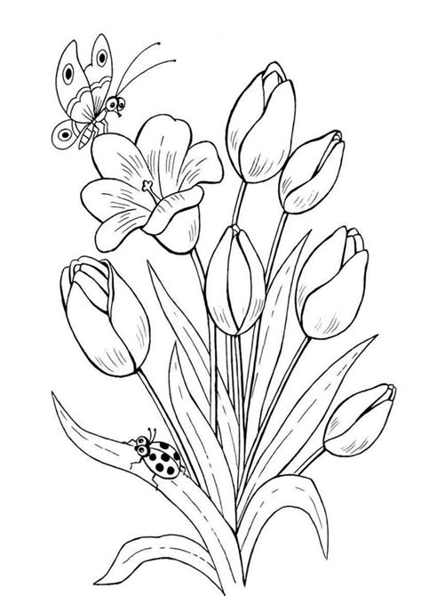 coloring pages tulip flower printable coloring pages