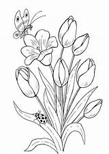 Coloring Pages Tulip Flower Printable Tulips Garden Print Fill sketch template