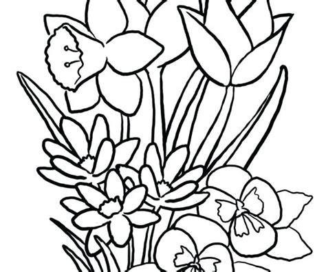 wildflower coloring pages  getcoloringscom  printable