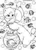cat coloring pages fun coloring pages  kids