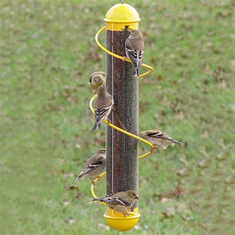 bird feeders yellow finches bird feedersbird feeders
