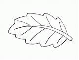 Coloring Leaves Pages Print Leaf Library Clipart Book sketch template