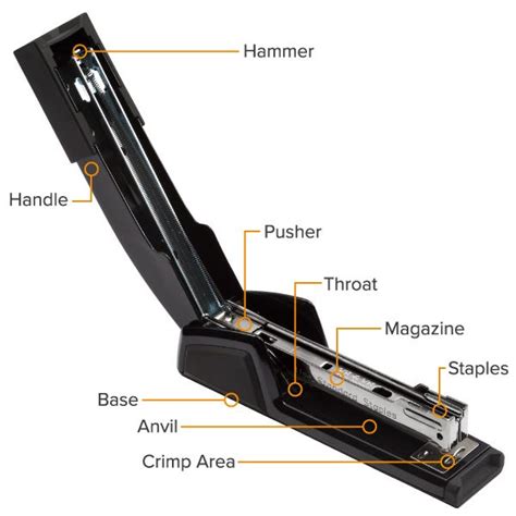 ultimate guide  staplers