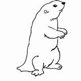 Gopher Coloring Sheets sketch template