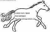 Coloring Horse Pages Book sketch template