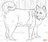 Akita Coloring American Pages Dog Dogs Husky Printable Shiba Drawings Click Designlooter Color Miniature Kids Spotted Leopard Coat Horse Print sketch template