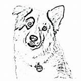 Collie Coloring Pages Border Borders Dog Color Getcolorings Getdrawings Printable Colorings sketch template