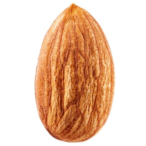 guide  almonds lorentanutscom