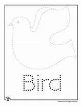 Bird Tracing Spring Worksheet Word Worksheets Preschool Letter Activities Easy Kids Activity Trace Crafts Shapes Recognition Shape Practice Woojr sketch template
