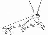 Mantis Praying Coloring Pages Insect Colouring Popular Clip Book Library Clipart Coloringhome Line sketch template