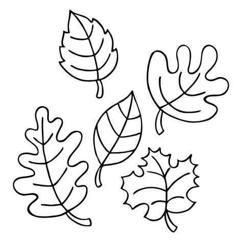 fall leaves template  printable printable templates