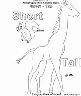 Coloring Tall Short Opposites Animal Crafts Kindergarten Book Learning Enchantedlearning Estimate Subscribers 1st Grade Level Enchanted Search Books sketch template