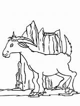 Coloring Mountain Goat Pages Hill Playing Around Size Print Color sketch template