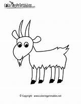 Goat Coloring Pages Printable Animal Sheets Cute Nativity Colouring Worksheets Animals Coloringprintables Drawing Kids Switzerland Choose Board Popular sketch template