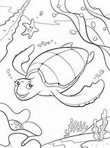 Turtle Sea Coloring Pages Printable Swimming Color Kids Eartha sketch template
