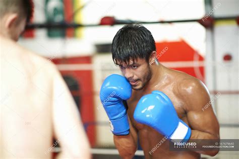 boxers sparring  boxing ring differential focus competition stock photo