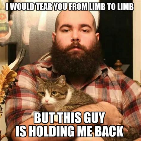 100 Funniest Cat Memes Ever