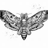 Moth Head Death Tattoo Poster Redbubble Tattoos sketch template