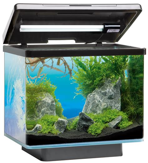 juwel vio  nano aquarium von juwel