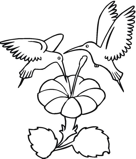 simple hummingbird outline coloring pages