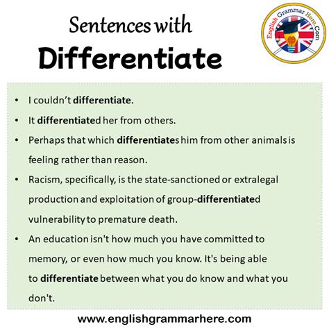 sentences  differentiate differentiate   sentence  english