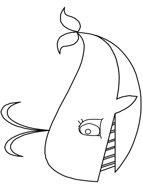 print coloring page  book ocean whale animals coloring pages