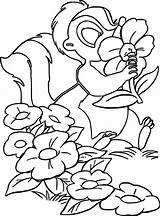 Flower Coloring Skunk Pages Bambi Nose Wecoloringpage sketch template